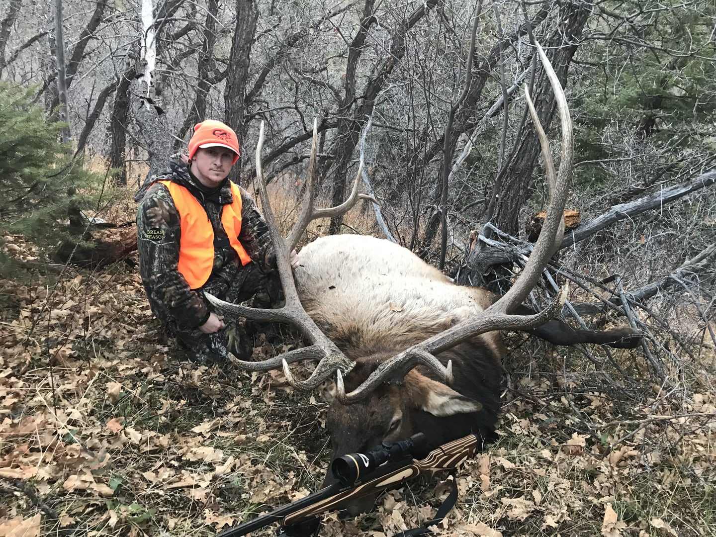 Colorado Trophy Elk Hunts Unit 61