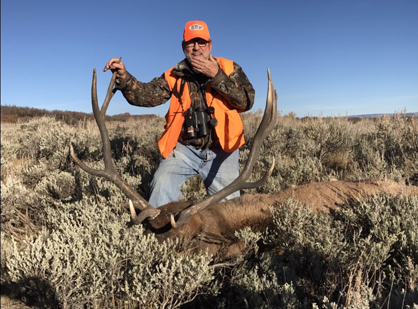 Colorado Trophy Elk Hunts Unit 61