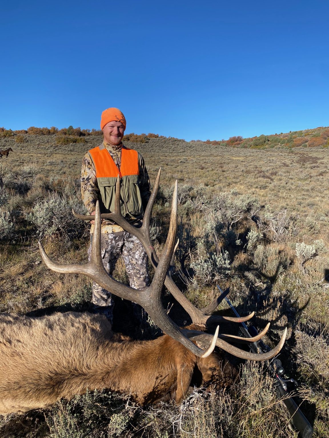 Colorado Trophy Elk Hunts Unit 61   IMG 6284 1152x1536 